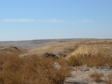 View from the upper spectator trail.