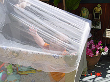 Hunter playing in his playpen while we do yard work.