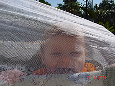Hunter playing in his playpen while we do yard work.