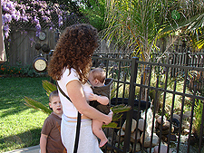 Heidi, Ryder & Hunter