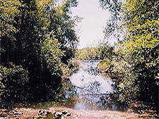 View from the banks.