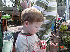 Hunter eating raisins.