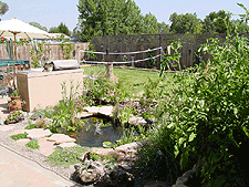 Pond area.