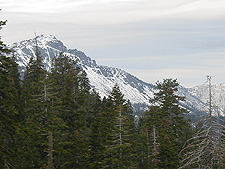 Snowy Mountains