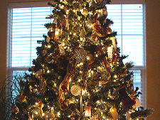 Tanya's Christmas tree.