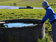 Tolay Lake Regional Park