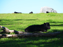 Tolay Lake Regional Park