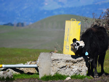 Tolay Lake Regional Park