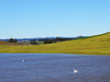 Tolay Lake Regional Park