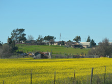 Tolay Lake Regional Park