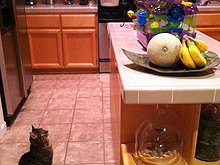 Allie is very amused.