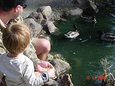 Hunter and Dave feeding ducks.