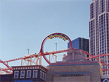 Dave rode the roller coaster.