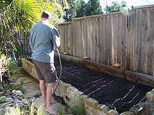 Dave gets the soil nice and moist