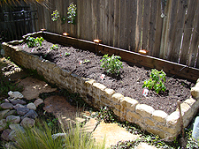 New garden