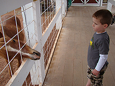 Hunter and a miniature horse