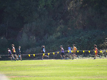 XC