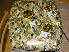 Allie's Christmas presents!