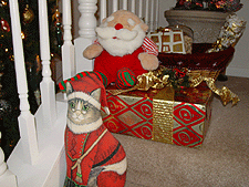 Laughing Santa and Santa Paws.