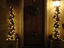 Lights in trees outside.