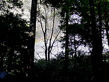 A hint of a rainbow in the mist of the falls...