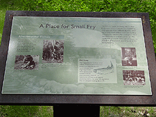 Mirror Lake fish story...