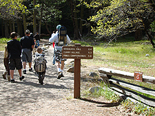 On the way to Bridalveil Falls