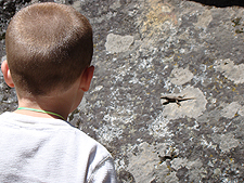 Hunter finds a lizard