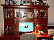 New Monitor