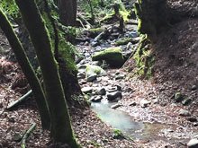 Annadel & Lake Ilsanjo