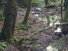 Annadel & Lake Ilsanjo