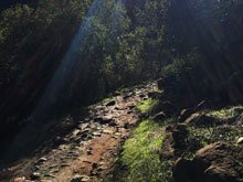 Annadel & Lake Ilsanjo