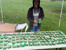Annadel Volunteering