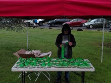 Annadel Volunteering