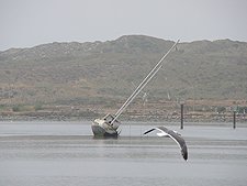 Another view from the deck