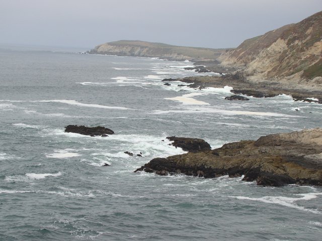 Bodega coast