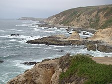 Bodega coastline