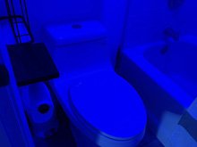 toilet