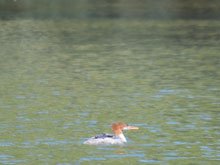 Camping at Casini Ranch
