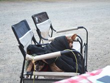 Camping at Casini Ranch