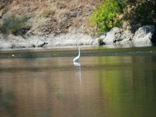 Camping at Casini Ranch
