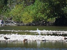 Camping at Casini Ranch