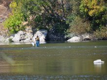 Camping at Casini Ranch