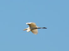 Camping at Casini Ranch