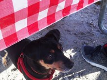 Camping at Casini Ranch