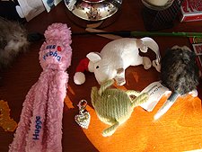 Allie & Lily's presents