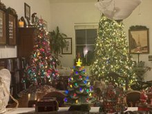 Christmas Decorations