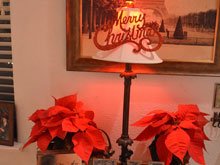 Christmas decorations