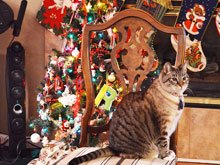 Christmas decorations