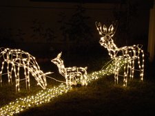 Christmas lights